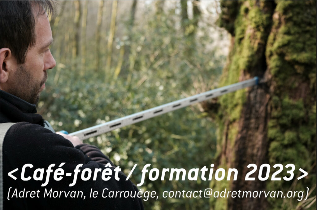 Café foret formation