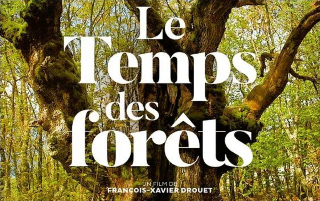 Soirée Adret Morvan au cinéma Casino de Clamecy : Le temps des forêts